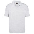 Polo - Ash
