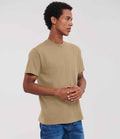 180M Tan Model