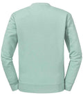 262M Eucalyptus Green Back