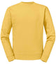 Mustard / XS