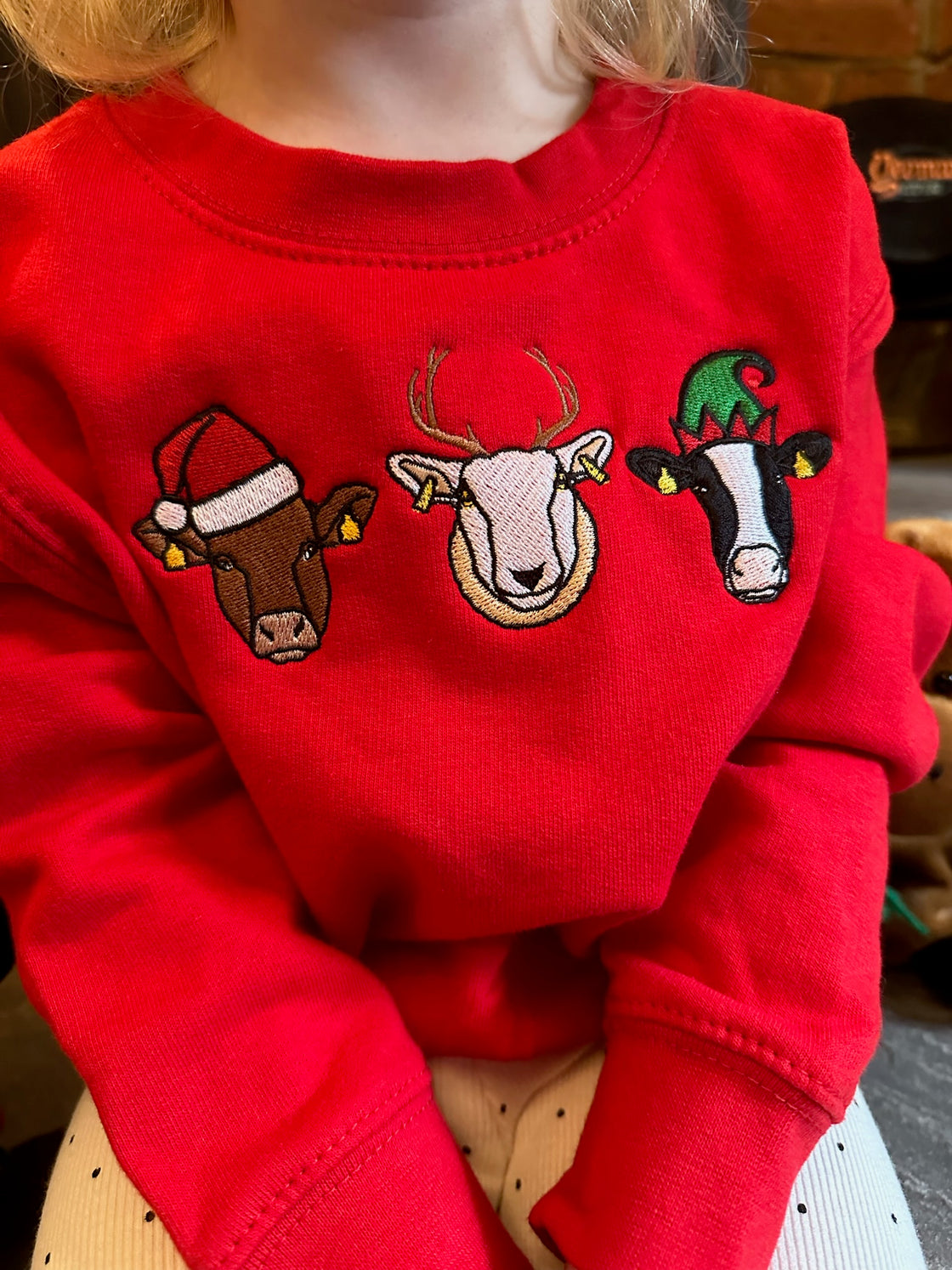 Matching Children/Adult Christmas Sweatshirt Embroidered With 3 Animal Santa Hat Design