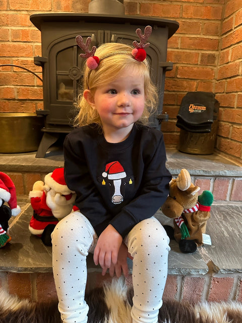 Christmas Sweatshirt Embroidered With Animal Santa Hat Design