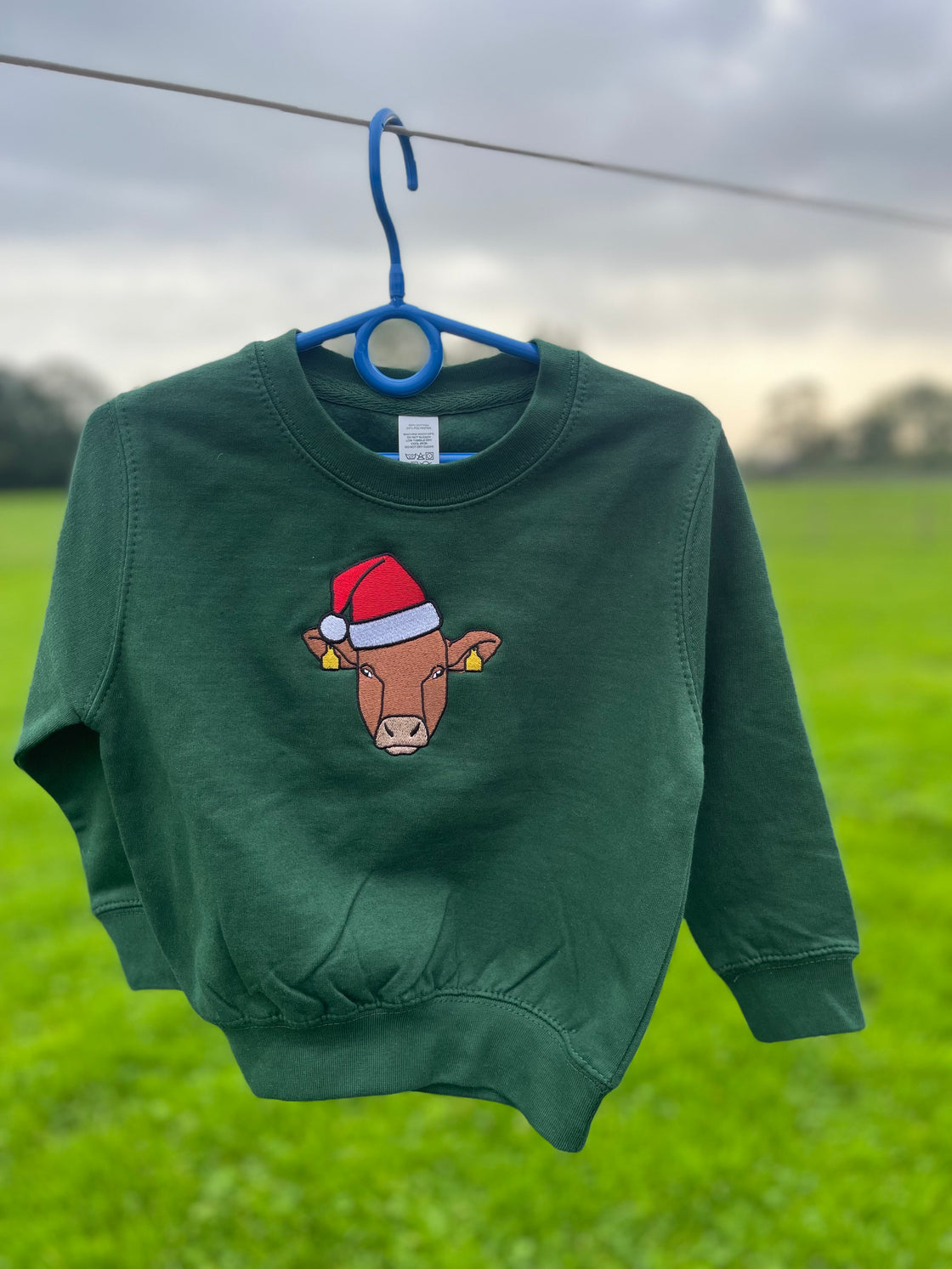 Christmas Sweatshirt Embroidered With Animal Santa Hat Design