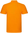 RX101 Orange Back