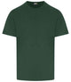 Bottle Green / XS