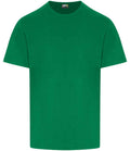 RX151 Kelly Green Front