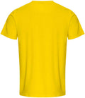 RX151 Yellow Back