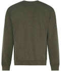 RX301 Khaki Back