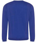 RX301 Royal Blue Back